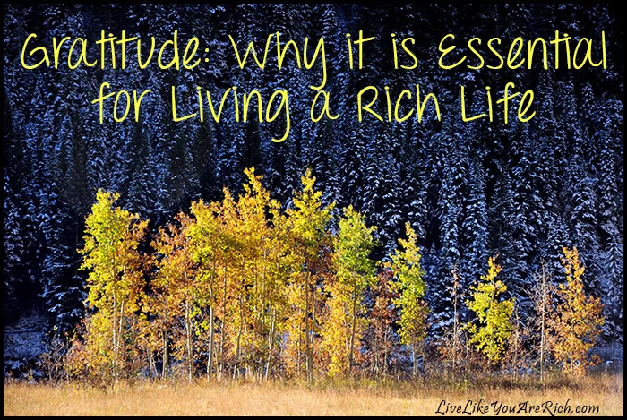 Gratitude: Why it is Essential for Living a Rich Life an account of the Natives and Settlers as well.