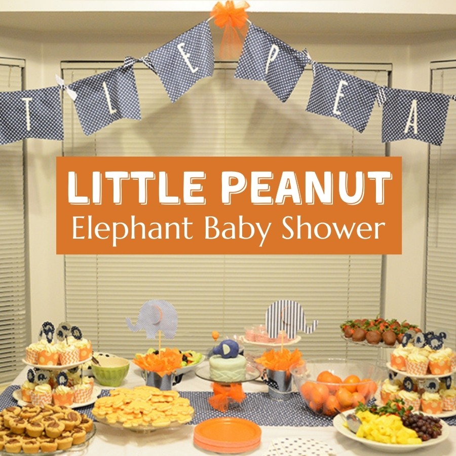 Eli - The Little Hunter Baby Shower Party Ideas
