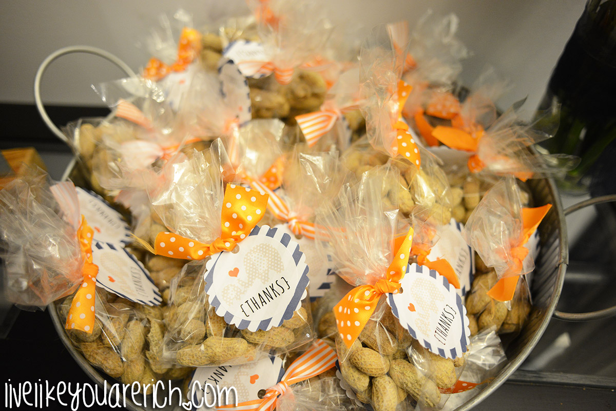 Little Peanut Elephant Baby Shower