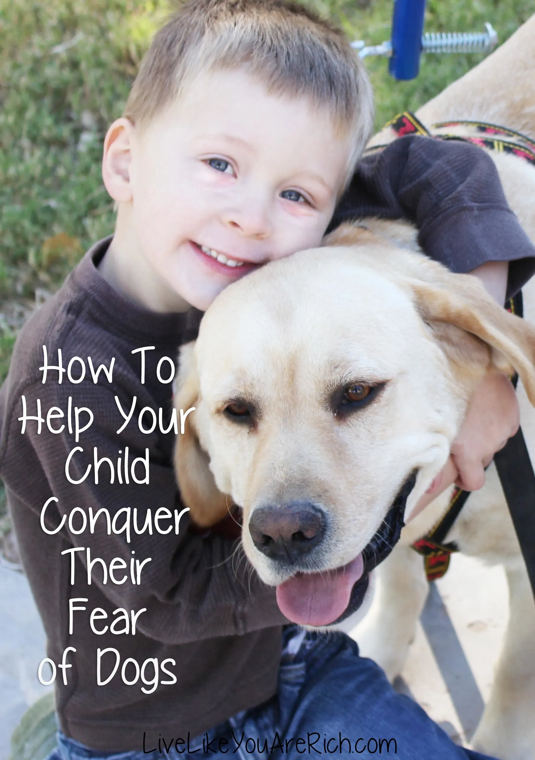How To Help Your Child Conquer Their Fear of Dogs