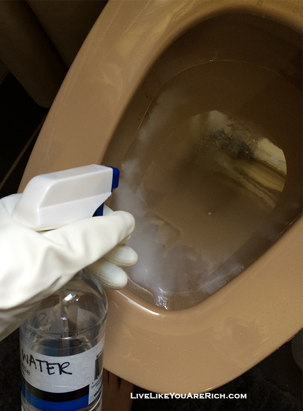 DIY NonToxic Toilet Bowl Cleaner in 11 Seconds or Less