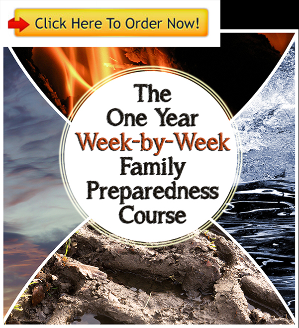 The One Year Week-by-Week Family Emergency Plan