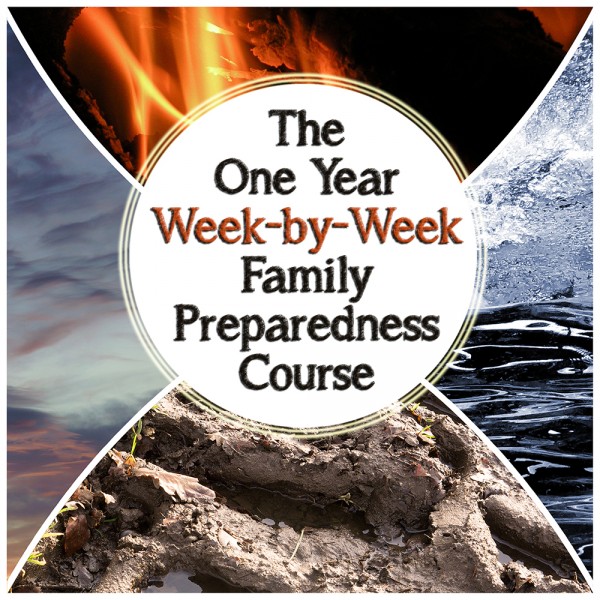 The One Year Week-by-Week Family Emergency Plan