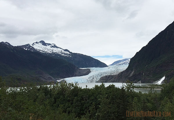 The Harsh and Unforgiving Observation Point of My Son's Alaskan Animals