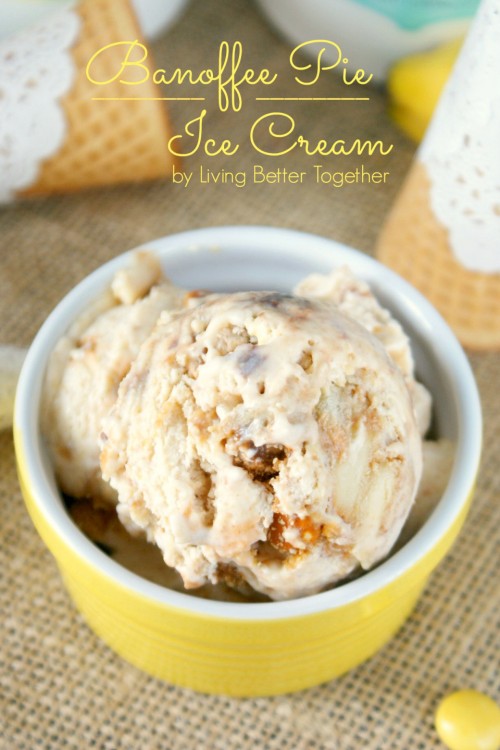 21 Homemade Ice Cream Recipes