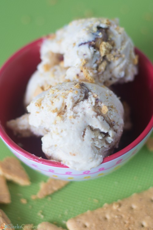 21 Homemade Ice Cream Recipes 