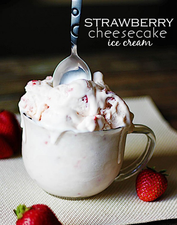 21 Homemade Ice Cream Recipes 