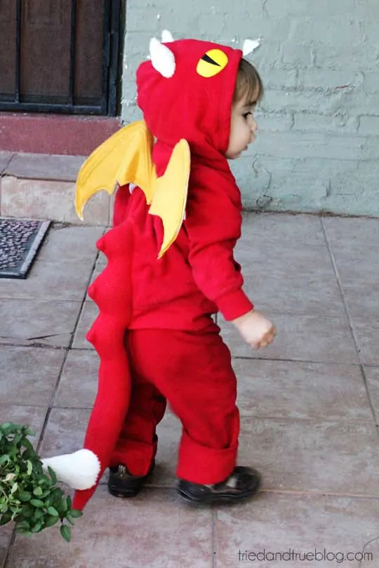 Dragon Costume for Halloween