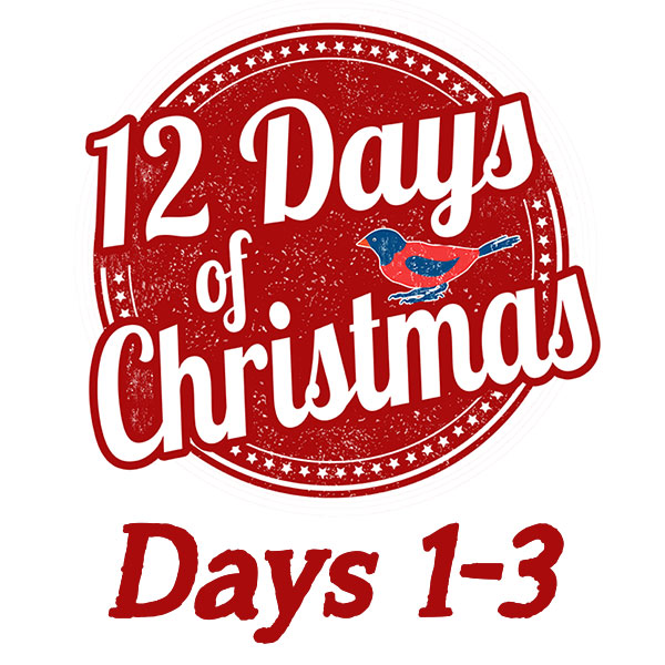 12 Days of Christmas, Day 3