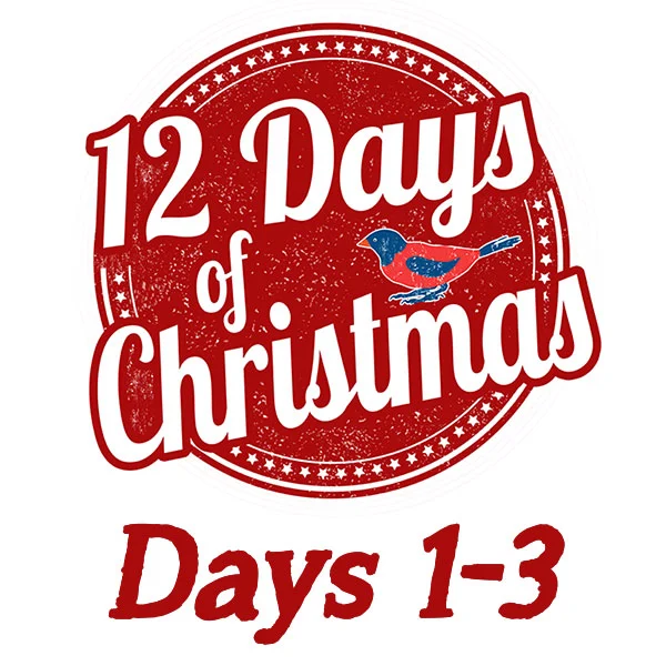 Gift Ideas for The Twelve Days of Christmas Days 1-3