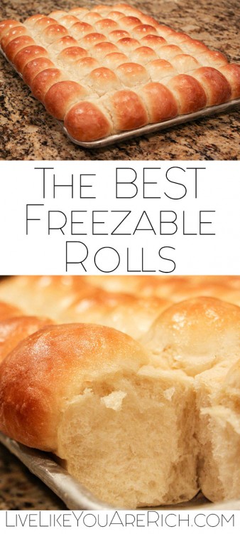 The BEST Freezable Rolls Recipe - Live Like You Are Rich