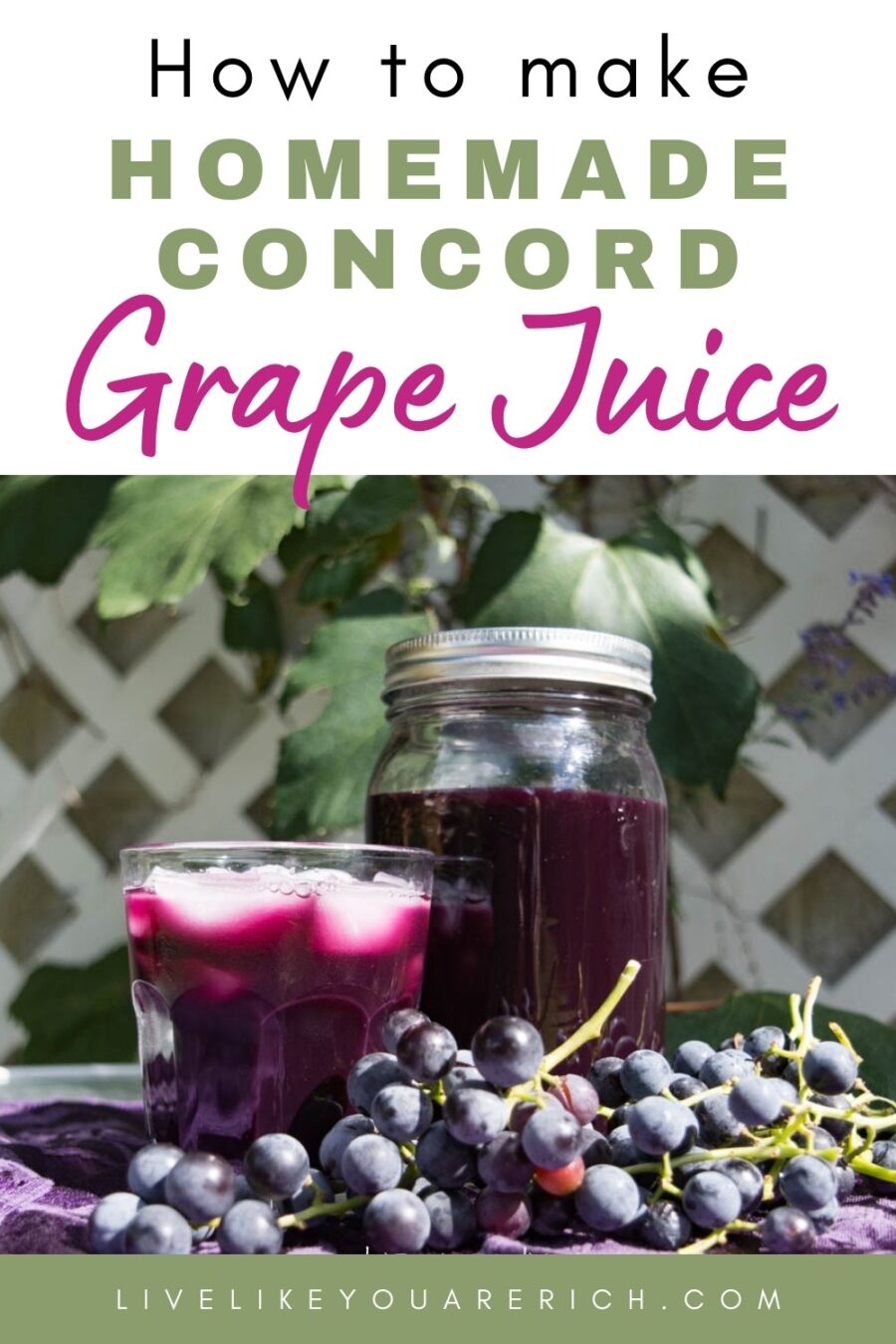 Homemade Concord Grape Juice Live Like You Are Rich
