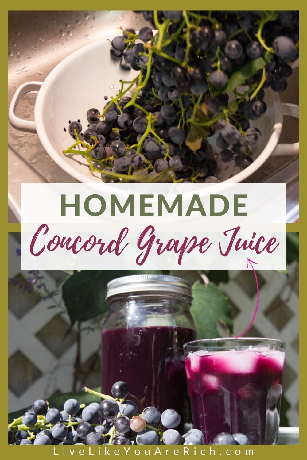 My mom has been an avid concord grape grower. She has many beautiful vines that produce a lot of grapes each Fall. Each Fall, we pick the grapes and juice them. My family and friends love the grape juice — especially mixed with Sprite or pink lemonade and chilled with ice. I’m sharing how she makes this homemade concord grape juice recipe. #grapejuice #concordgrapejuice