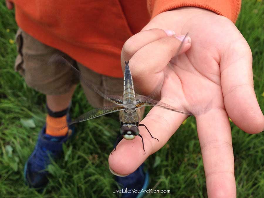 Inexpensive and Easy Activities for Toddlers—Series. Post 3: Hiking