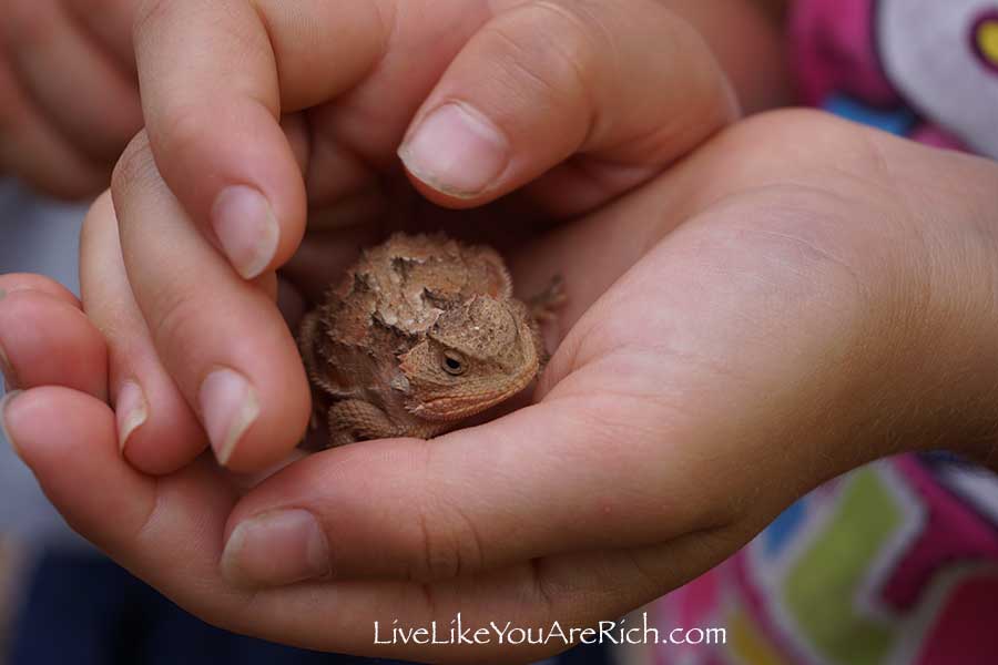 Inexpensive and Easy Activities for Toddlers—Series. Post 3: Hiking