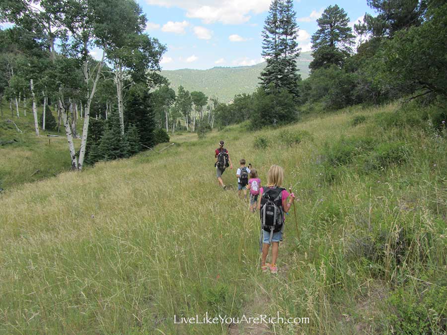 Inexpensive and Easy Activities for Toddlers—Series. Post 3: Hiking