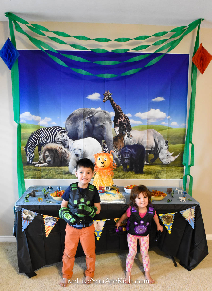 wild kratts birthday party 2