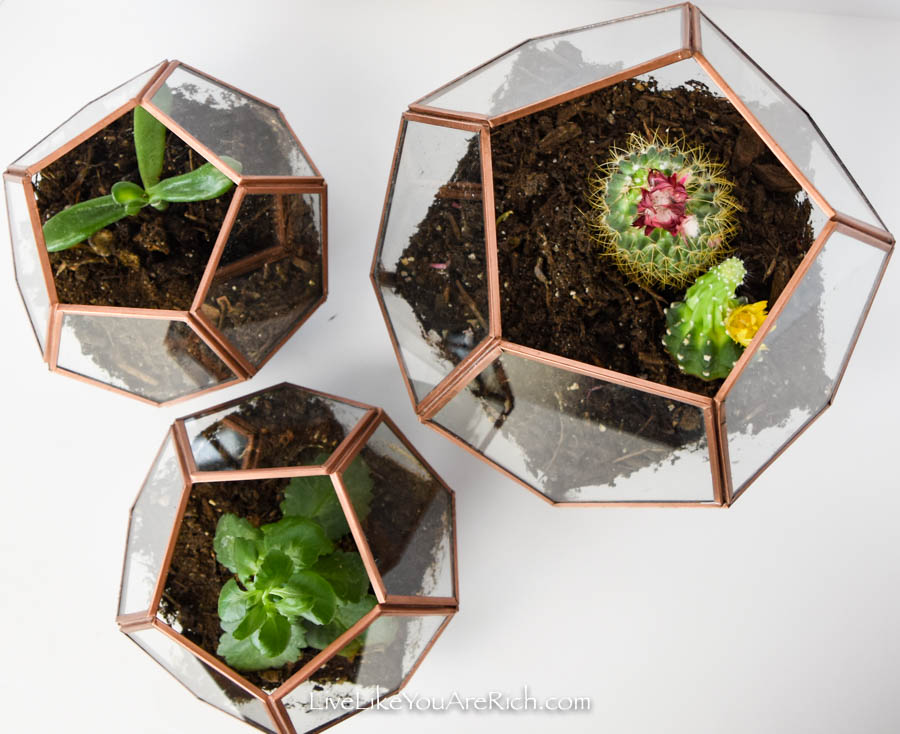 DIY Copper Geo Terrariums