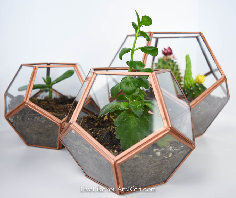 DIY Copper Geo Terrariums