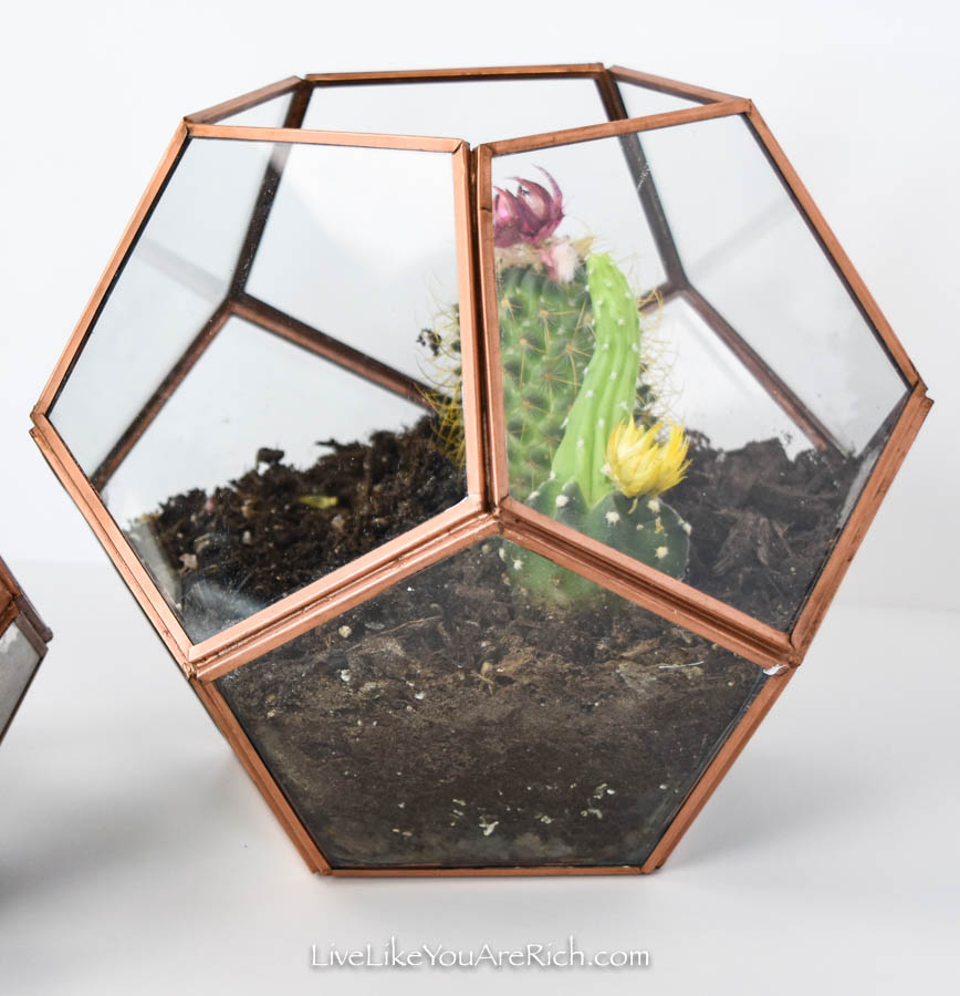 side view of DIY Copper Geo Terrariums