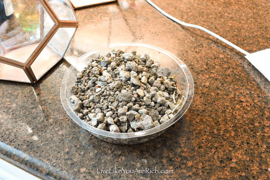 rocks for DIY Copper Geo Terrariums