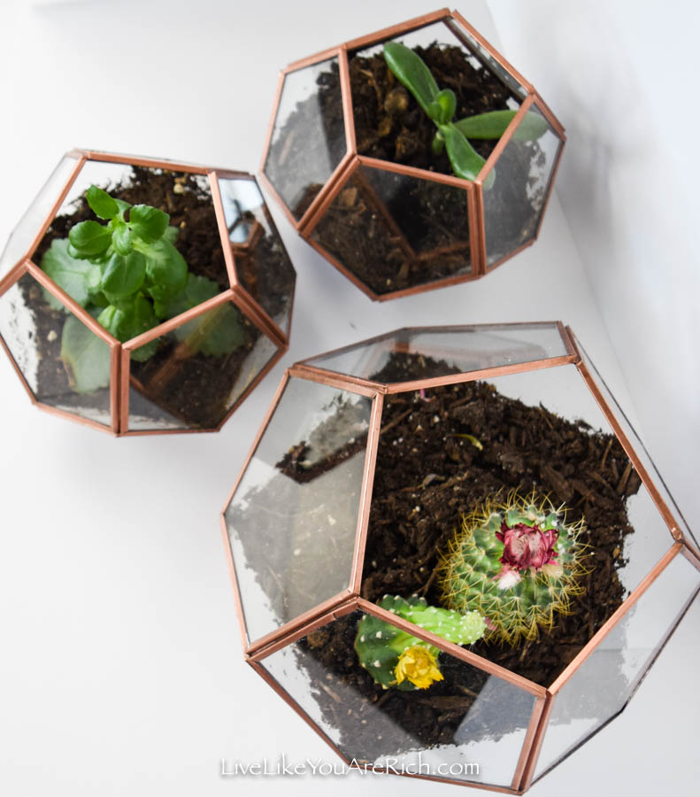 DIY Copper Geo Terrariums