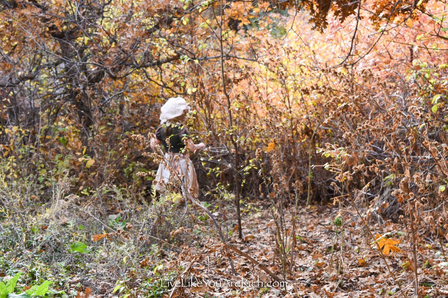 Gretel wandering in woods