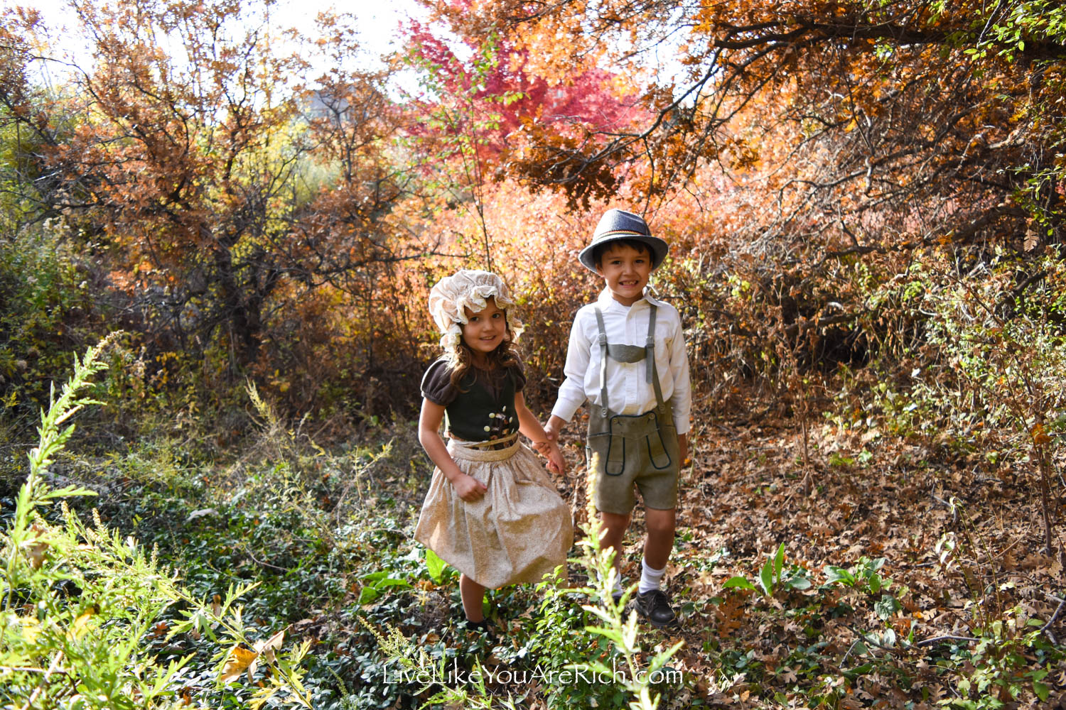 Hansel and Gretel Costumes—Grimm's Fairytales