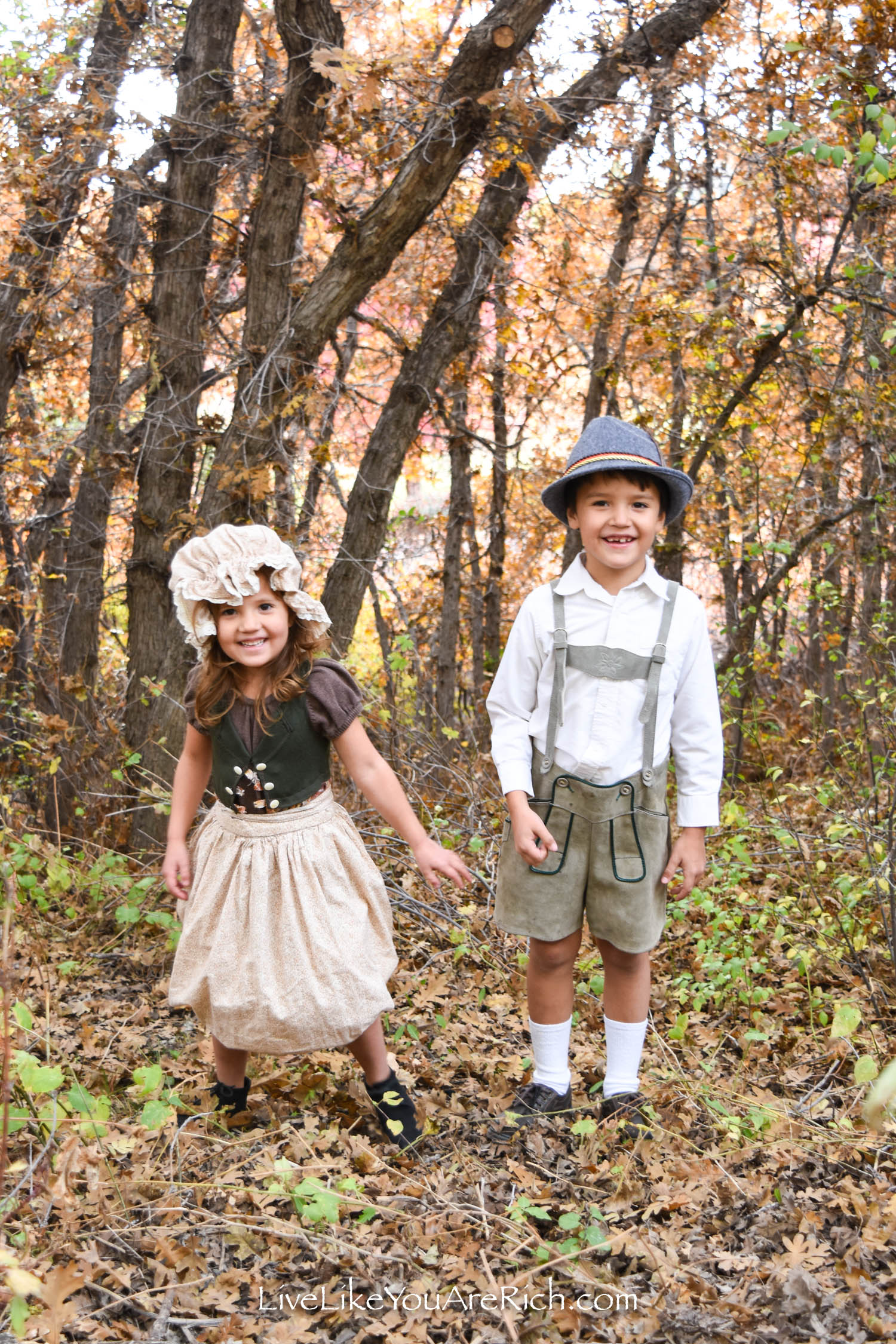 Hansel and gretel on sale costumes for adults