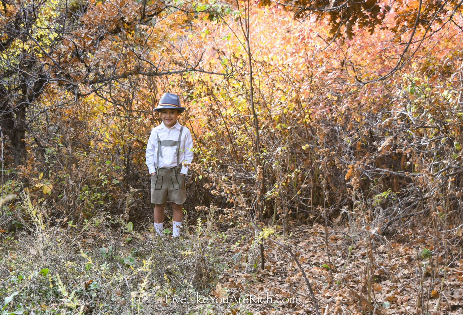 Hansel in Woods