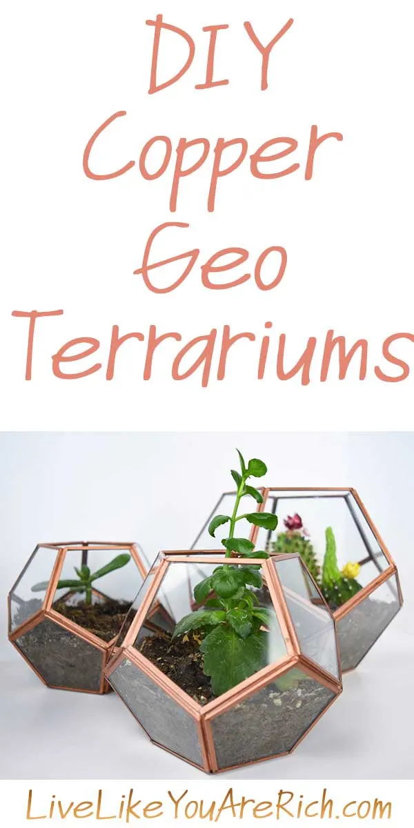 DIY Copper Geo Terrariums
