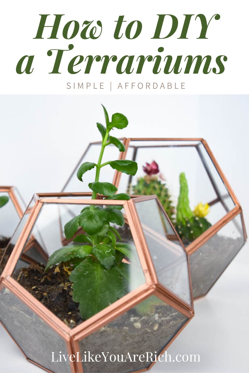 This DIY Copper Geo Terrariums has been a great DIY project and decor for my home. They were easy to make and only took about 20 minutes each. 
