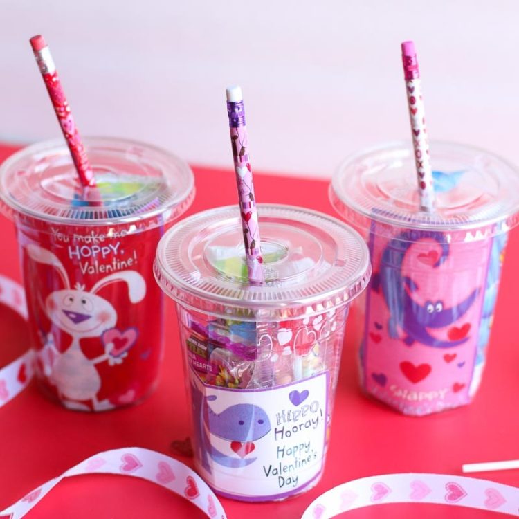 Affordable DIY Valentine Gifts for Students - One Sharp Bunch