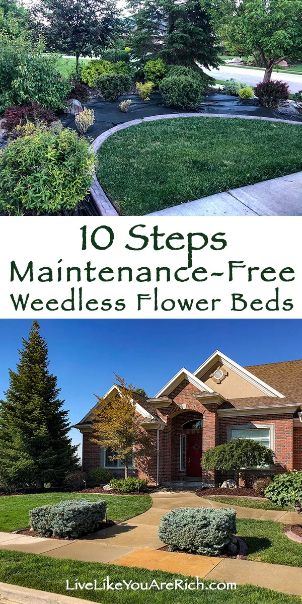 10 Steps of Maintenance-Free Weedless Flower Bed.