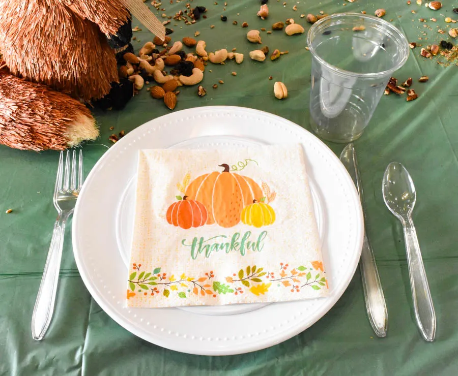 Paper/plastic products for kids Thanksgiving table