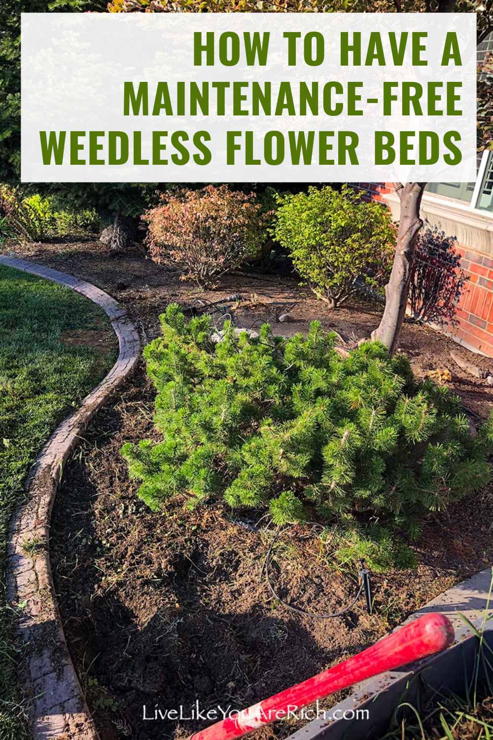 I love nice looking gardens! However, I do not like weeding for hours each week. That is what I was having to do from spring until fall…and I still couldn’t keep the weeds in my flowerbeds at bay. Once I used this Maintenance-Free Weedless Flower Beds in 10 Steps System. #livelikeyouarerich #gardening #gardeningtips #flowerbeds