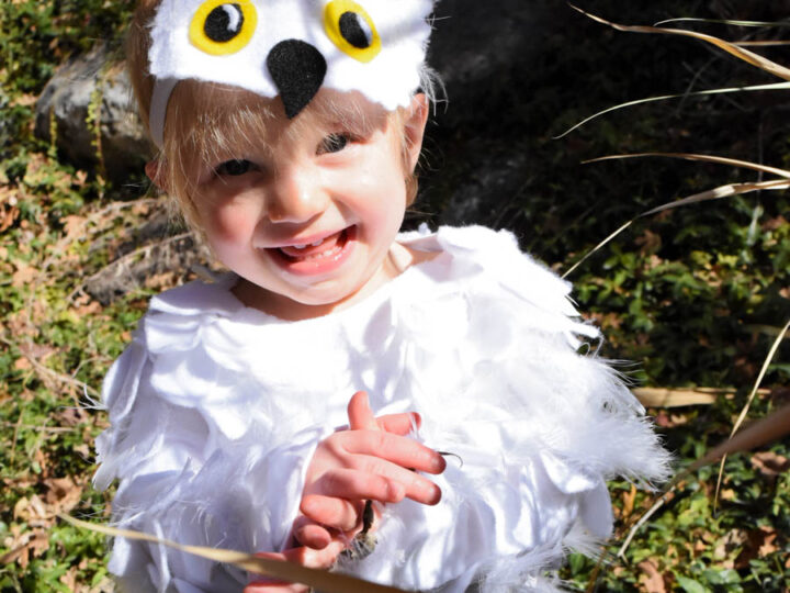 Image for Hedwig No Sew Baby Costume