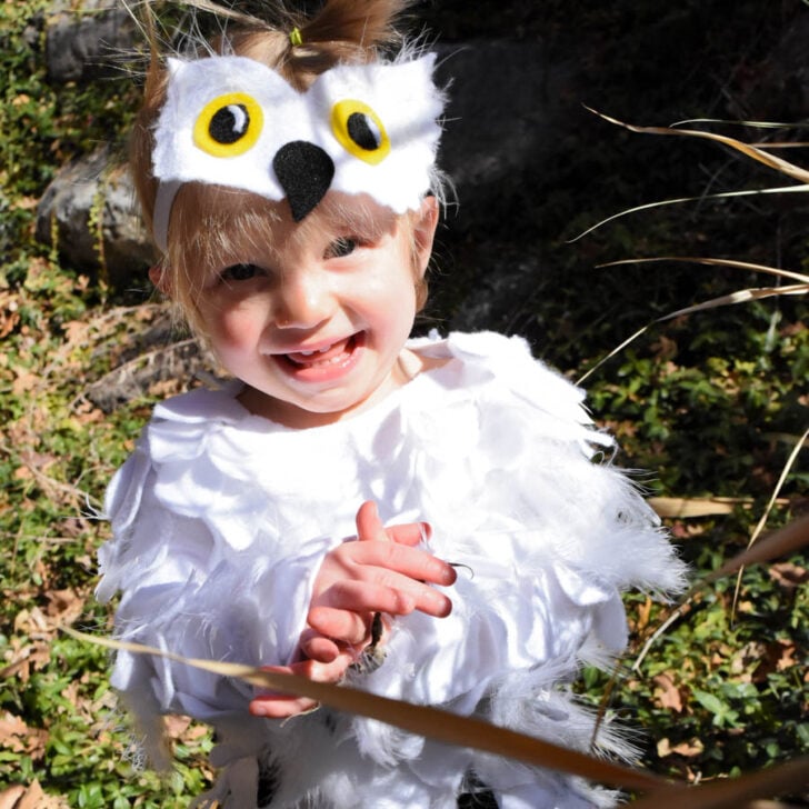 Hedwig No Sew Baby Costume