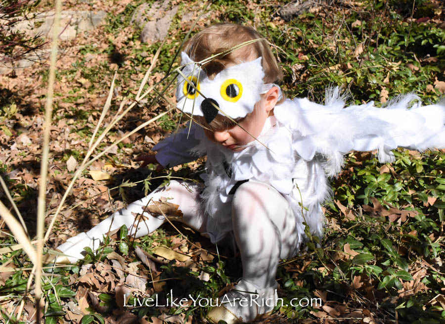 Hedwig Baby Owl Costume DIY {No-Sew} - Make Life Lovely