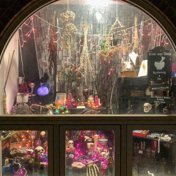 Diagon Alley Window Display - Live Like You Are Rich
