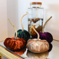 Fall Velvet Pumpkins
