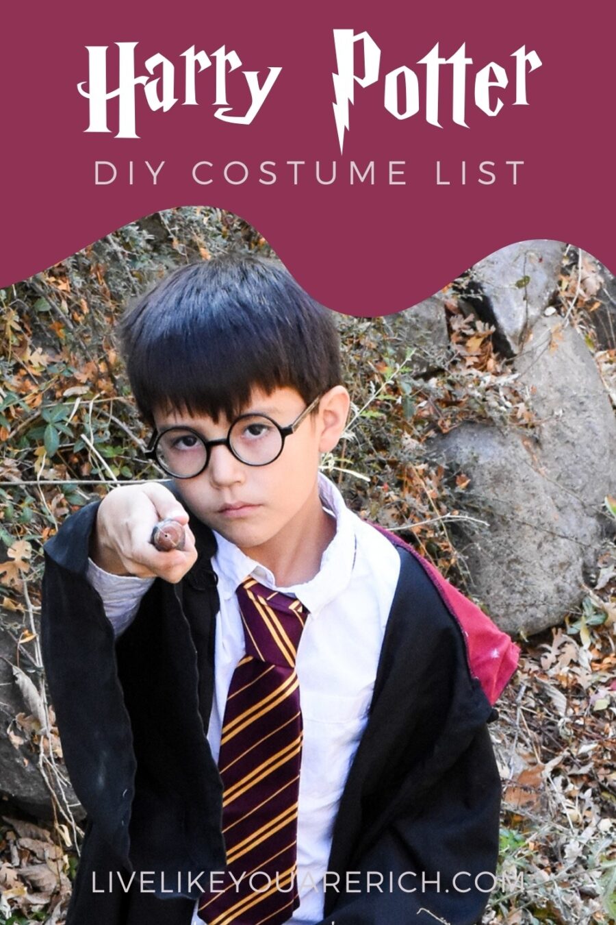 Harry Potter Costume List - Live Like You Are Rich