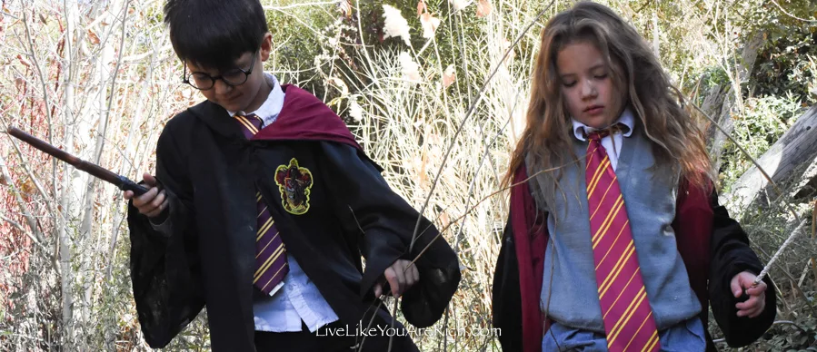 Harry Potter Costumes for Kids