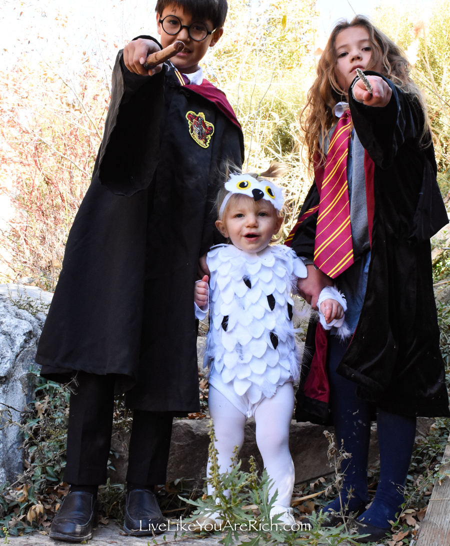 This Halloween my kids wanted to dress up in Harry Potter (Harry, Hermoine, and Hedwig). 