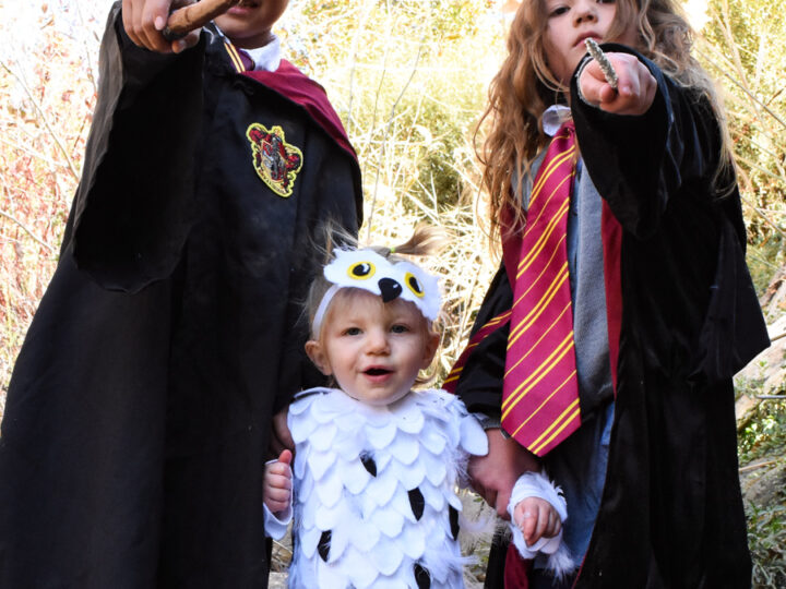 Image for Harry Potter Costumes