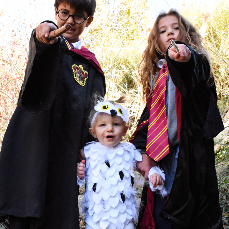 Harry Potter Costumes - Live Like You Are Rich