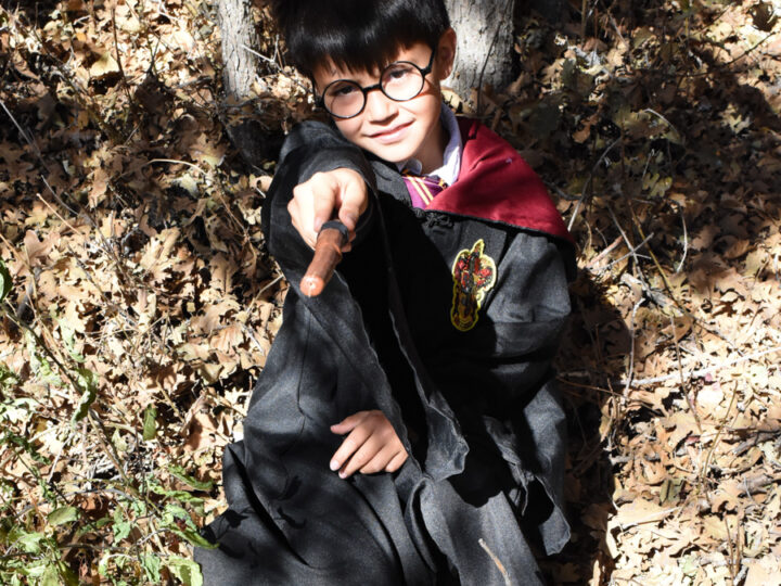 Image for Harry Potter Costume List