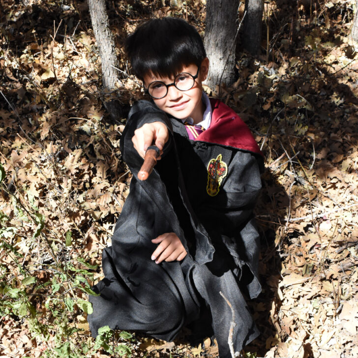 Harry Potter Costume List