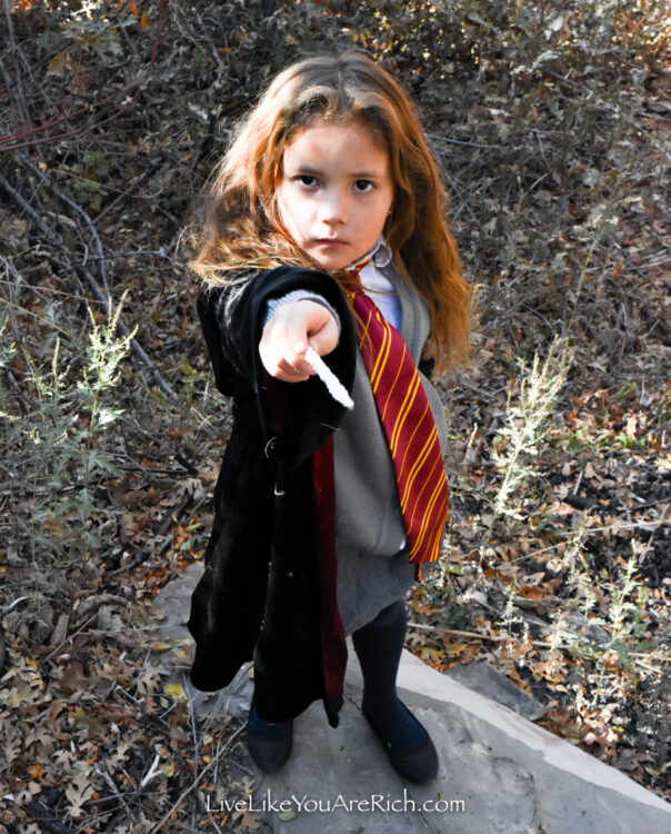 Hermoine Costume List - Live Like You Are Rich