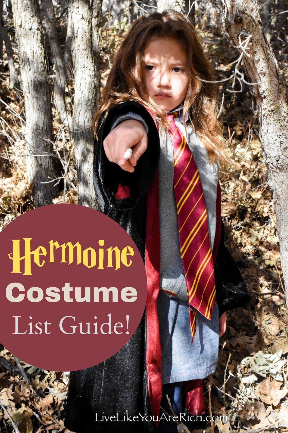 This Hermoine costume list will give you a good idea of the items you need to create a Hermoine Granger Halloween costume. This costume was very easy to put together. We had the dress shirt (she used one her brother outgrew), tights, skirt, and shoes. #harrypotter #hermoinegrangercostume